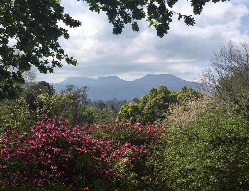 3 Bedroom Property for Sale in Hogsback Eastern Cape